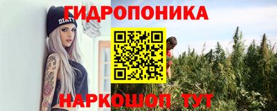 PSILOCYBIN Ипатово